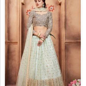 Embroidered Net Lehenga in Sea Green
